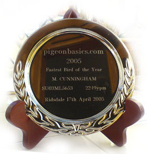 Pigeonbasics.com Fastest Bird of the Year - M. Cunningham