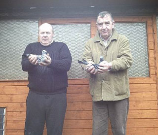 Tommy Cummings, holding Oisin alongside Terence with another of his super pigeons.