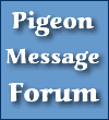 Pigeonbasics.com - Message Forum