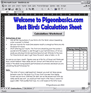 Instructions Page (Excel version Shown).