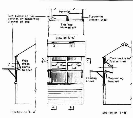 Pigeon Loft Design