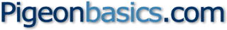 Pigeonbasics Logo